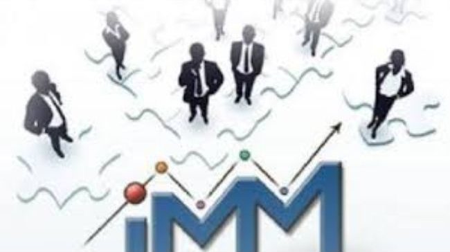 Consultanta generala in afaceri de tip IMM