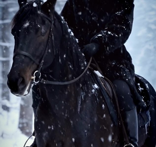 Servicii complete cu Ai