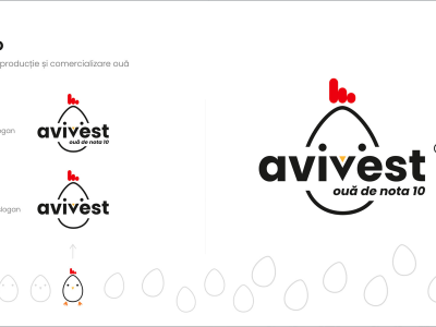 Branding / Rebranding Avivest