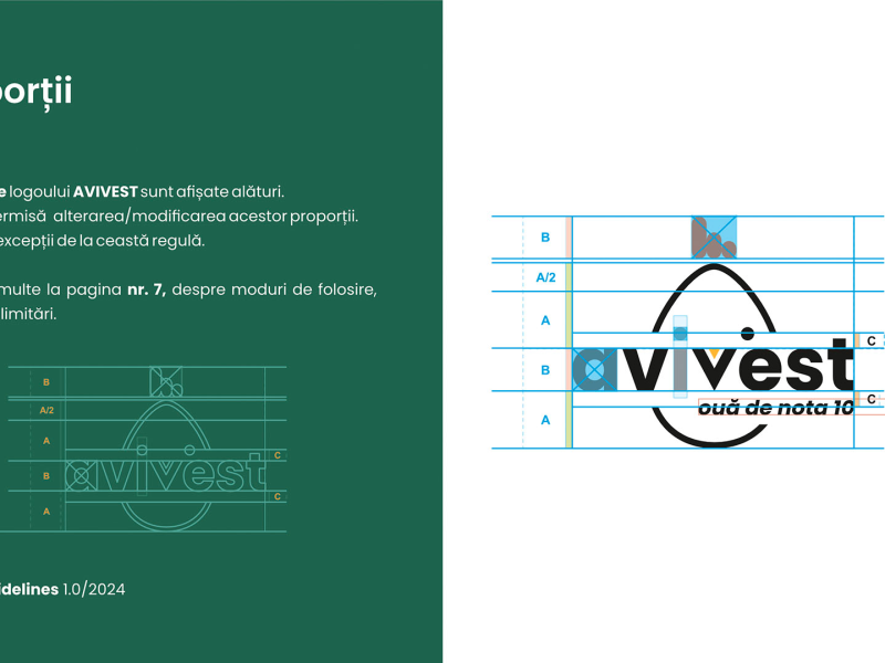 Branding / Rebranding Avivest