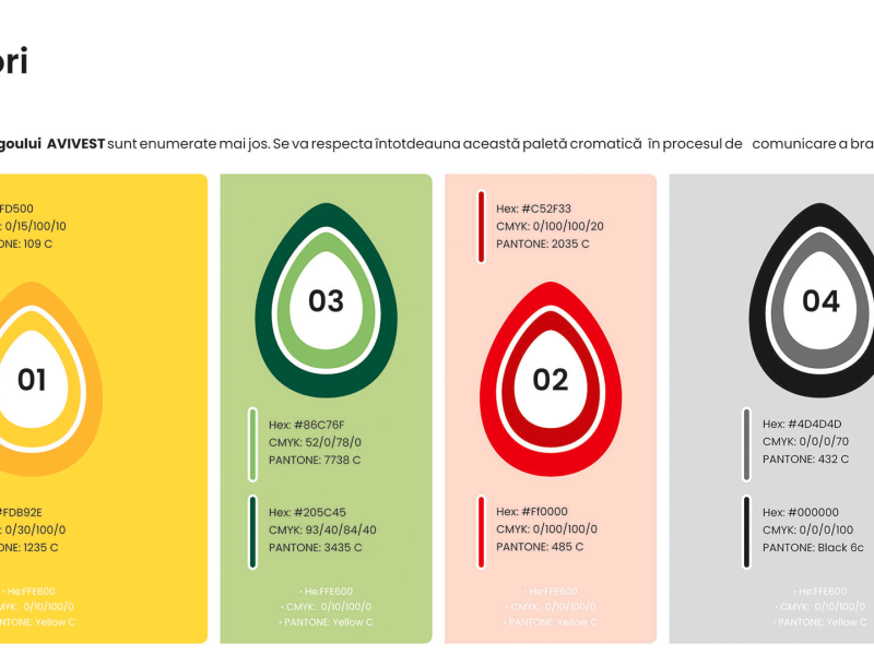 Branding / Rebranding Avivest
