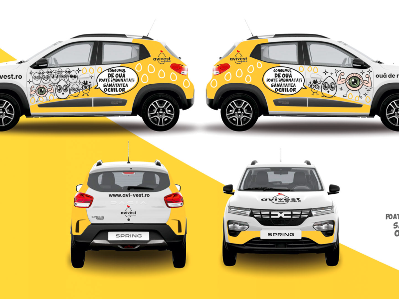 Branding / Rebranding Avivest