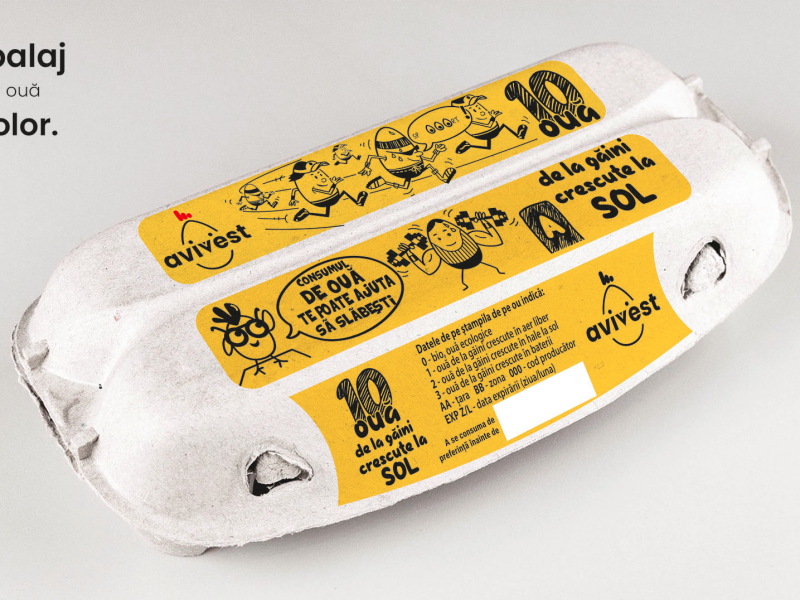 Branding / Rebranding Avivest