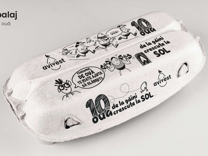 Branding / Rebranding Avivest