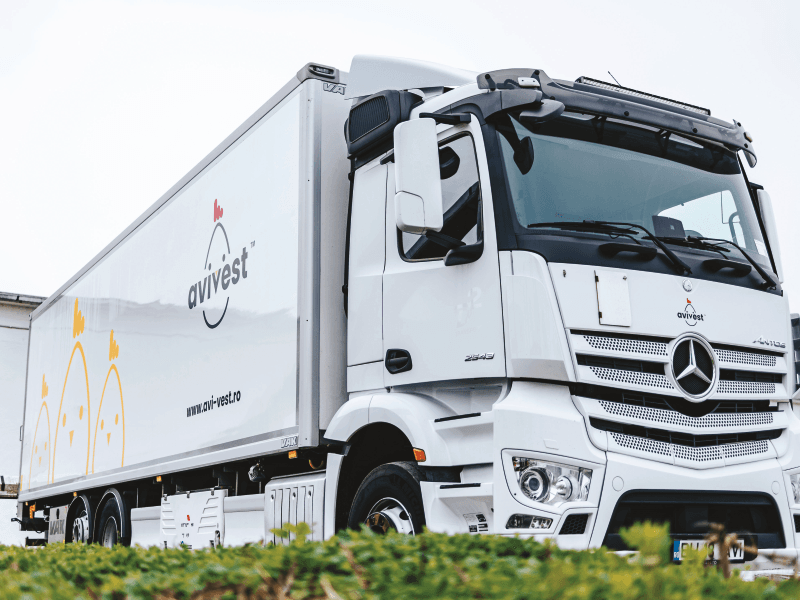 Branding / Rebranding Avivest